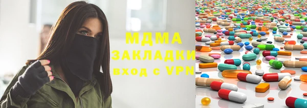 гашик Алексин