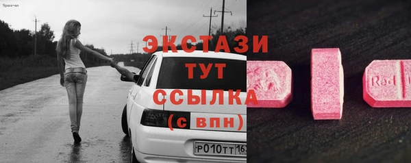 гашик Алексин