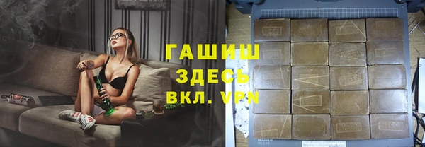 гашик Алексин