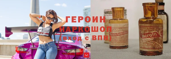 гашик Алексин