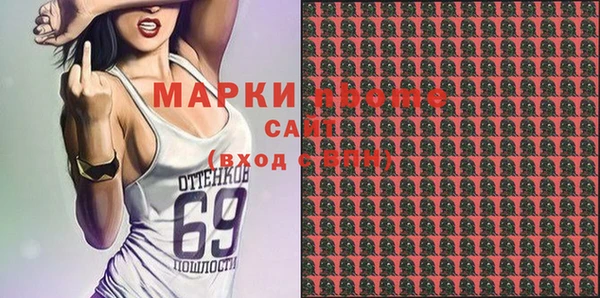 гашик Алексин