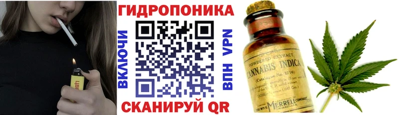 где найти наркотики Красногорск Конопля план